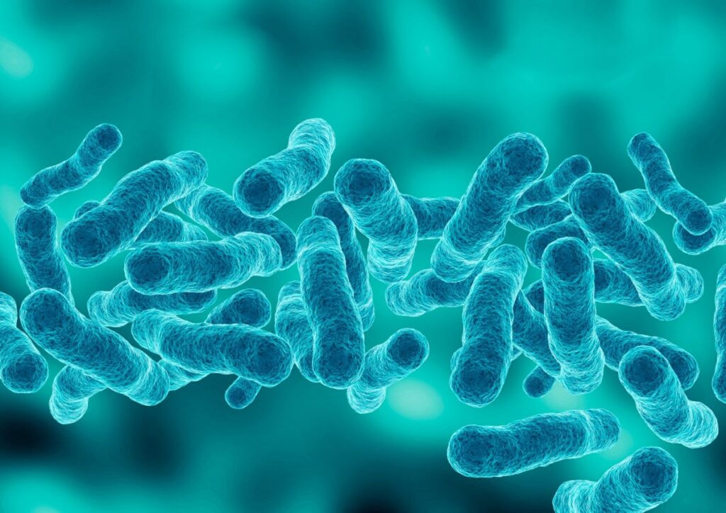 22 Hospitalized And 1 Dead Following  Legionnaires’ Disease Outbreak In New York City!